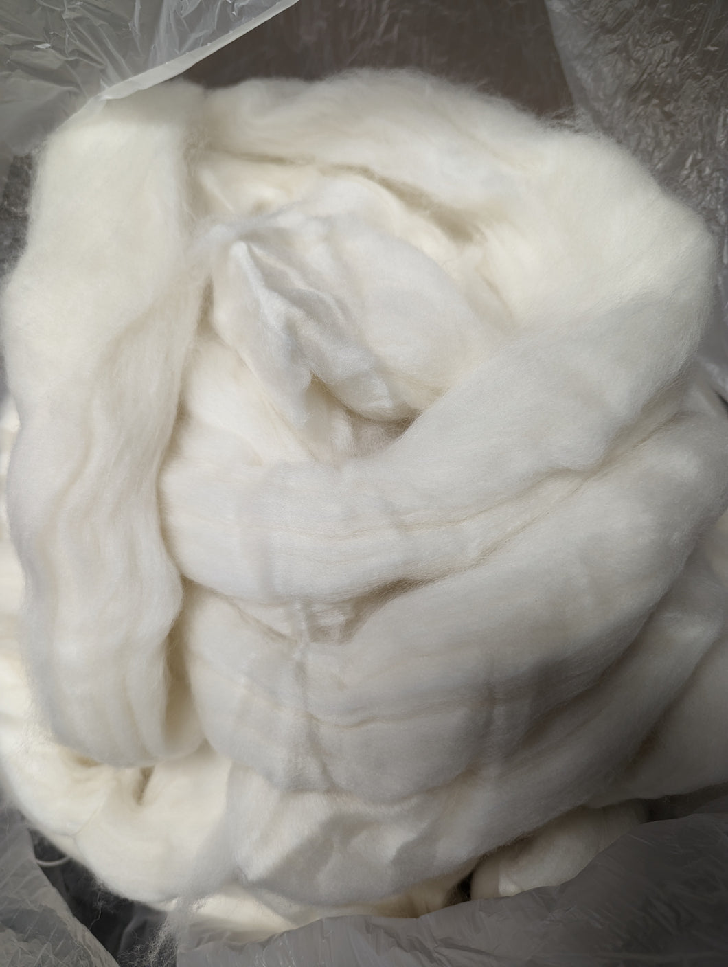 Undyed Organic Polwarth combed top
